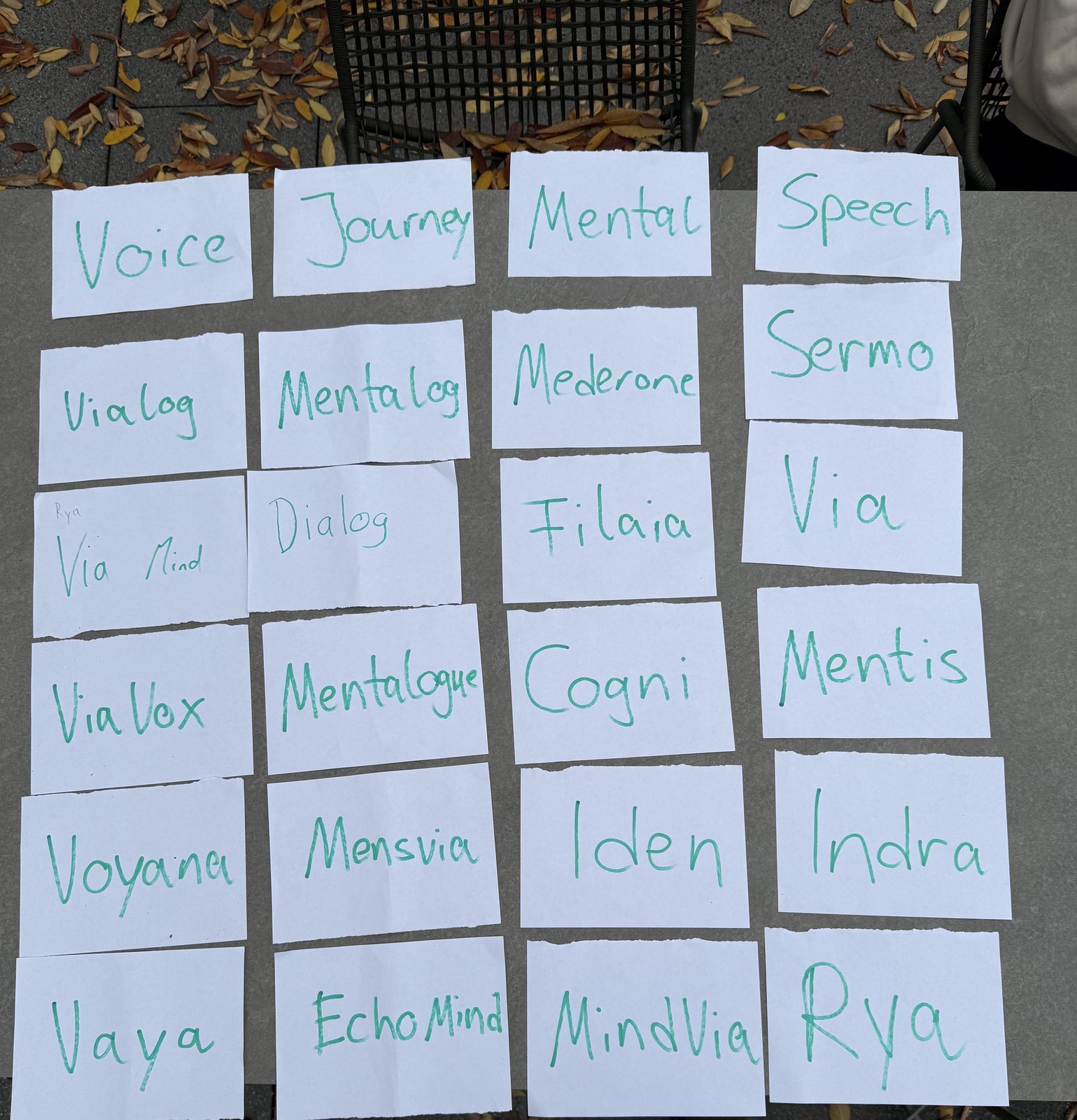 Handbeschriebene Namenskarten auf einem Tisch: Voice, Journey, Mental, Vialog, Via Vox, Mentalogue, Sermo, Cogni, Mentis, EchoMind