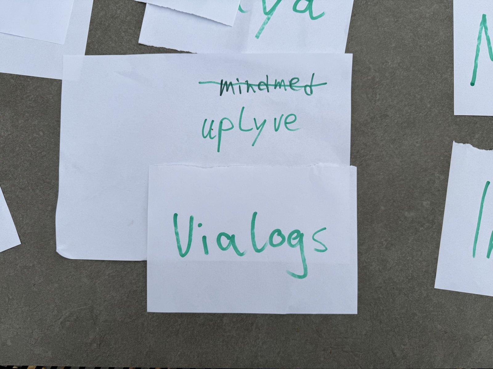 Nahaufnahme einer Karte mit der Schreibweise Vialogs, daneben verworfene Kandidaten mindmed und uplyve